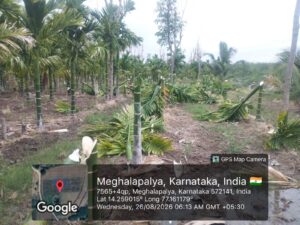 IMG 20260826 WA0021